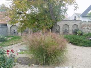 Baja, Jókai u. 19. 2.kép.jpg Baja, Jókai u. 19. 2.kép.jpg